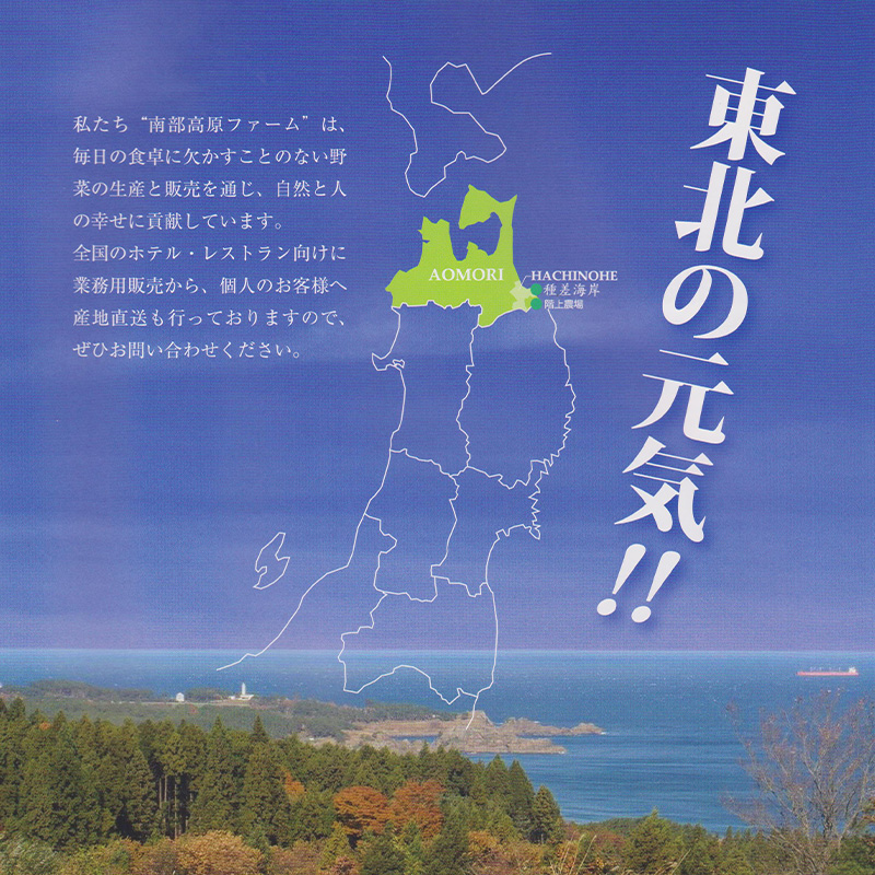 東北の元気！